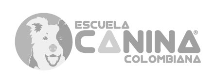 escuela-canina