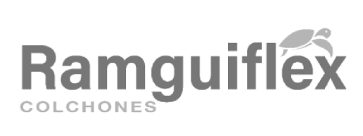 ramguiflex